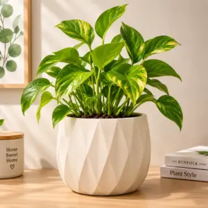 Wave Flower Pot